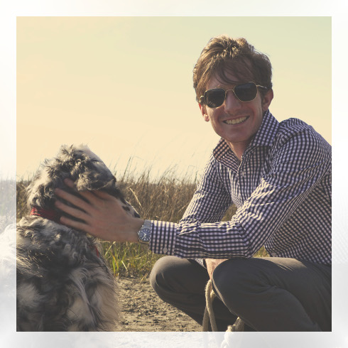 an image of a dog at the beach